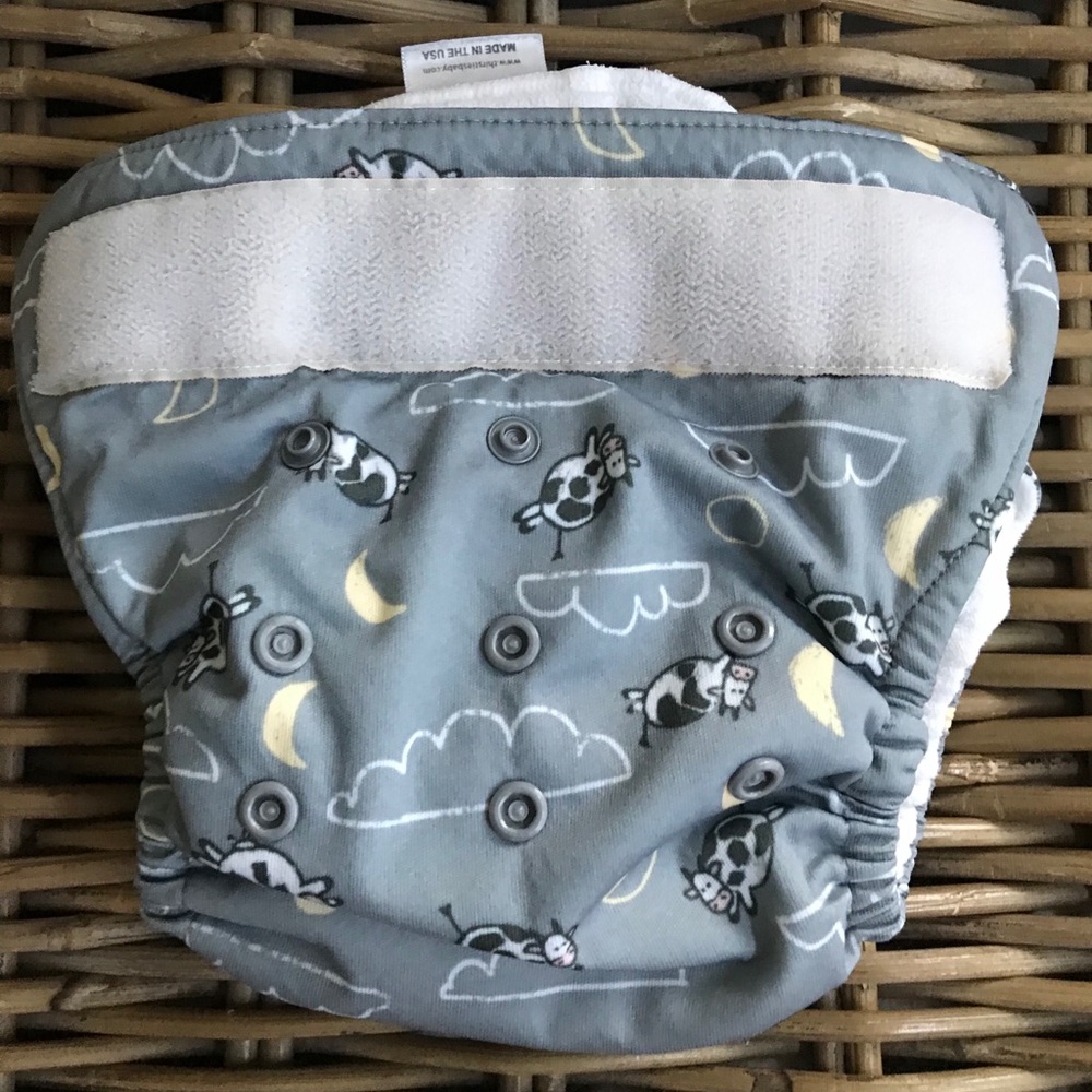 Thirsties cloth diaper